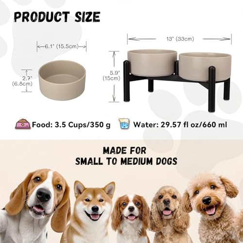 Raised Ceramic Dog Bowl Set - Elevated Double Dishes with Stainless Steel Stand - Food and Water Bowls for Small to Medium Dogs - Each Holds 3.5 Cups (29.57 fl oz) - Grey