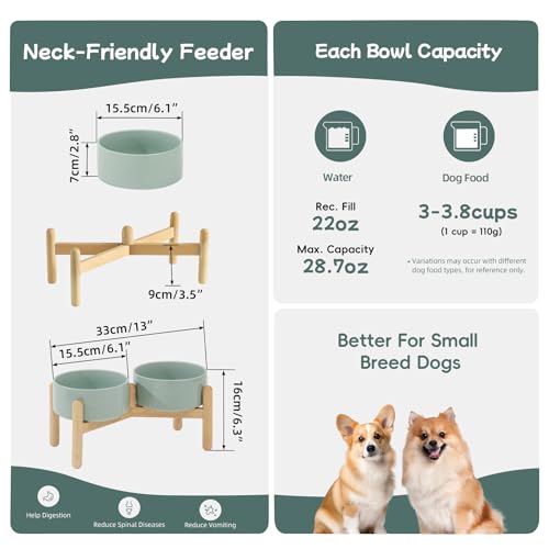 Havniva 6.1inch Ceramic Raised Dog Bowl with Stand, Double Dog Bowls Elevated for Small and Medium Breed Dog Food and Water Bowl Set Non-Slip Dog Dish Large Capacity Feeding Pet Water Bowl