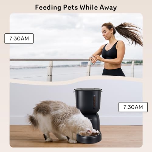 Automatic Cat Feeder and Water Dispenser FW1, Wire or Battery Cat Food Dispenser Timer Pet Feeder - Locking Lid, Desiccant Bag, Programmable Portion Control, 4 Daily Meals, 10s Voice Recorder