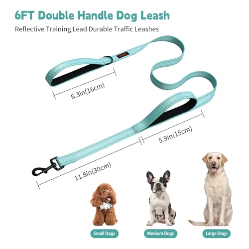 Heavy Duty Dog Leash with 2 Handles - 6ft Reflective Anti-Pull Leash for Large Dogs, Padded Traffic Handle for Control, Durable Nylon Training Lead (Black)