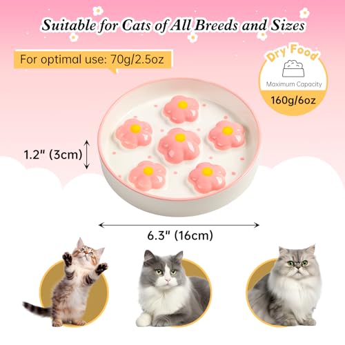 Ceramic Cat Slow Feeder Bowl - 6 OZ Puzzle Food Dish for Healthy Eating - Shallow Wide Whisker Friendly - Dishwasher Safe - 6.3 x 1.2 Inch - Blush Pink Flower