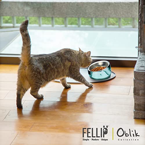 Felli Oblik Elevated Cat Bowl Removable Stainless Steel Wide Dish for Dry Wet Food Feeding & Dishwasher Clean, Slanted Whisker Fatigue Friendly Metal Plate (Classic, 0.5 Cups Shallow Dish)