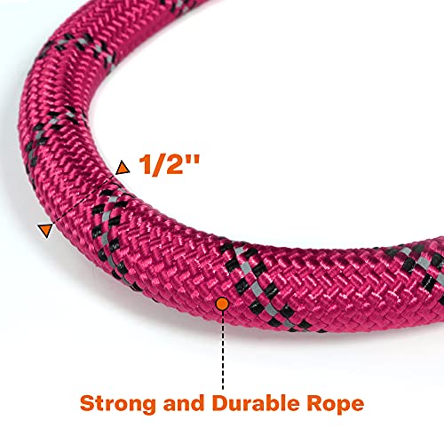 Taglory Rope Dog Leash 6 FT with Comfortable Padded Handle, Highly Reflective Threads Leash and Anti-Tangle Clip for Walking Medium Large Dogs, 1/2 inch, Hotpink