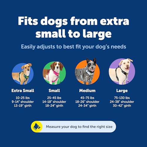PetSafe Easy Walk Comfort No-Pull Dog Harness Full-Body Padding - Better Walks on the First Use - 5 Points of Adjustment Medium, Pink