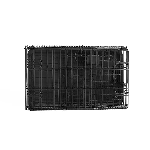 Amazon Basics Portable, Foldable Metal Wire Dog Crate with Removable Tray, Single Door, Divider Panel, Collapsible for Travel, 22 x 13 x 16 in, Black