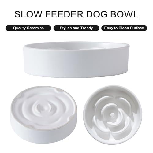 Welloyed 6'' Ceramic Slow Feeder Dog Bowls - Petal Shape Modern Dog Food Dish for Cats and Small Breed Dogs, Puzzle Maze Bowl to Slow Down Eating, Anti-Gulping, Dishwasher & Microwave Safe, White