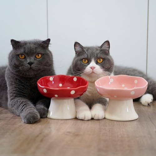 Ceramic Elevated Mushroom Cat Bowls, Tilted Raised Pet Dish Anti Vomit Kitten Bowl for Indoor Cats, Whisker Friendly Pet Food and Water Bowl for Kitten, Cat, Puppies, Dishwasher Safe (Red)