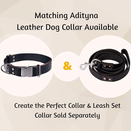 ADITYNA Leather Dog Leash 6 ft x 3/4 inch - Soft, Strong, Heavy Duty for Large & Medium Breeds - Dog Lead for Walking, Training, Hiking and Running (Black)