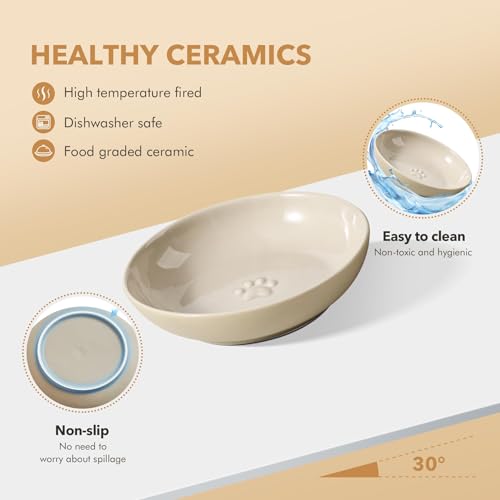 Havniva Cat Bowls Elevated 5.6” Ceramic Cat Bowl with Stand Whisker Friendly Shallow Cat Dishes, Cat Food & Water Bowl Set with Two Heights Options, Anti-Slip Raised Cat Food Bowl for Kitten