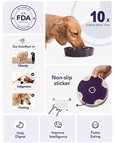 LE TAUCI Ceramic Slow Feeder Dog Bowls Small Breed, 0.6 Cups Dog Food Dish for Fast Eaters, Puzzle Bowl for Small Dogs and Cats,Purple