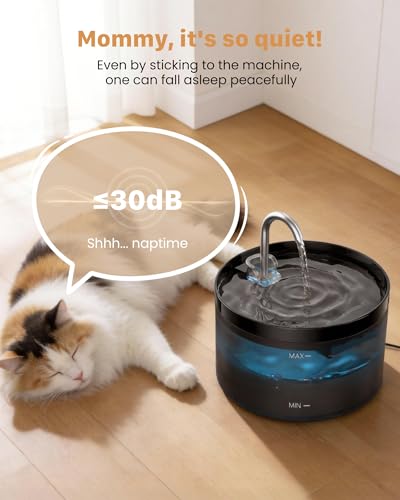 Cat Water Fountain: Dog Bowl Fountains - Automatic Pet Dispenser - Dogs Drinking Waterer Bowls Indoor - Auto Watering Dish Supplies - Easy Cleaning Animal Machine - Quiet 67oz/2L Kitty Drink Fountain