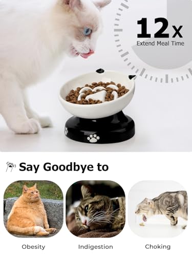 Y YHY Ceramic Cat Slow Feeder, Elevated Dog Food Bowl Tilted Design, Slow Feeder Bowl no Black Chin, Cat Shape for Dry and Wet Food