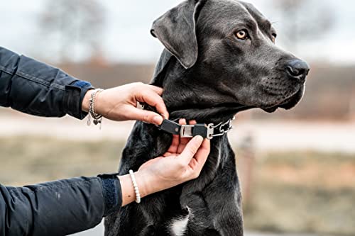 Herm Sprenger Dog Training Prong Collar with Quick Release Cliclock Buckle & Swivel Ring | Adjustable Length German Made Stainless Steel Collar for Small to Medium Dogs Up to 15" Neck (2.25mm Prongs)