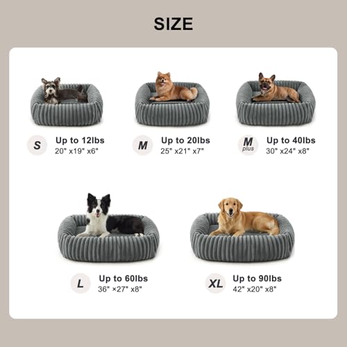 FURTIME Dog Bed for Small Dogs, Washable Orthopedic Dog Bed with Removable Cover, Rectangle Soft Calming Sleeping Puppy Bed Durable Pet Cuddler with Anti-Slip Bottom, Grey, S (20"x19"x6")