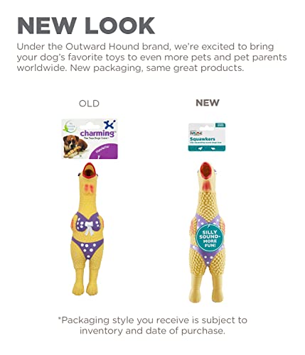 Outward Hound by Charming Pet Squawkers Henrietta Latex Squeaky Rubber Chicken Dog Toy, Funny Interactive Holiday Toy for Dogs, Small Size