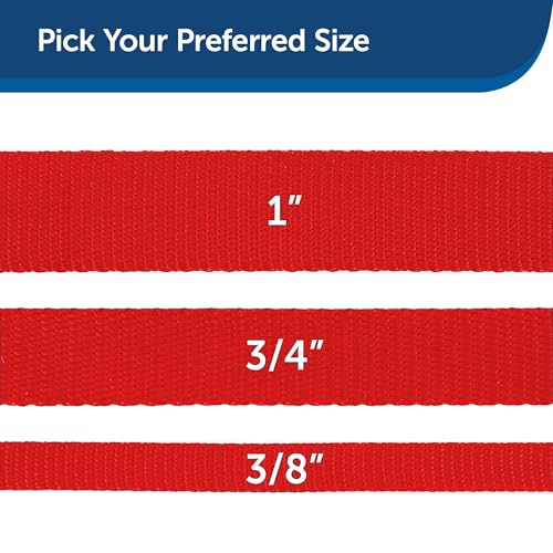 PetSafe Nylon Dog Leash - Strong, Durable, Traditional Style Leash with Easy to Use Bolt Snap - 3/8 in. x 6 ft., Red