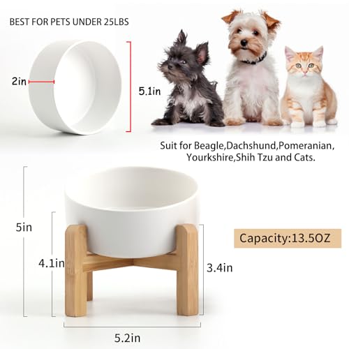 Petygooing White Raised/Elevated 15°Slanted Ceramic Dog Bowl for Small Breeds,Tilted Anti Slip Pet Feeding Bowl,Food Water Dish with Stand for Cats and Small Dogs Puppy 13.5 OZ (5.1In / 1.7 Cups)