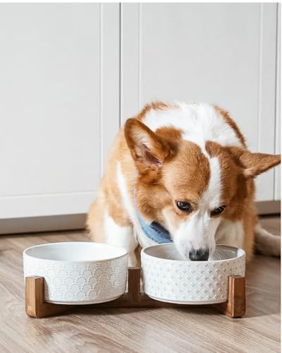 LE TAUCI Dog Bowl Set with Acacia Wood Stand - 1.5-Cup Ceramic Puppy Bowls for Small Dogs, Dual Food and Water Bowls with Weighted Non-Slip Base