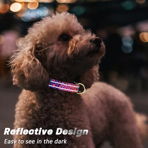 TMOODEL Reflective Dog Collar for Medium Dogs, Cute Leopard Style Adjustable Heavy-Duty Nylon Puppy Collar for Boy and Girl Female, Soft Pet Accessories with Quick Release Buckle, Neon