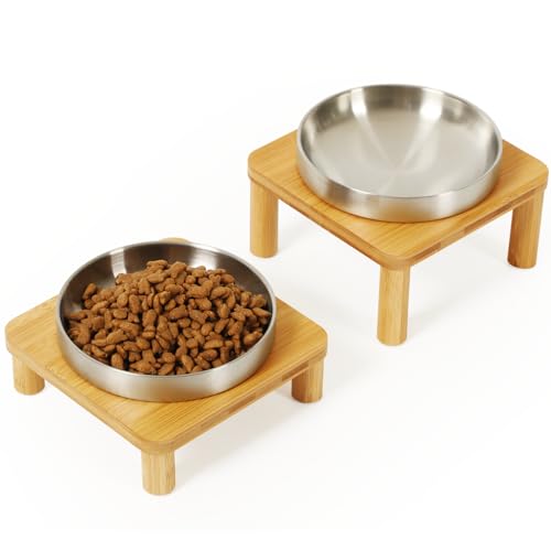DoogCat Elevated Cat Bowls for Indoor Cats – Raised Bamboo Cat Bowl Stand with 5.5 Inch Wide Stainless Steel Dishes, Pet Food Table Plate for Easy Feeding, Whisker Friendly(Silver,Set of 2)