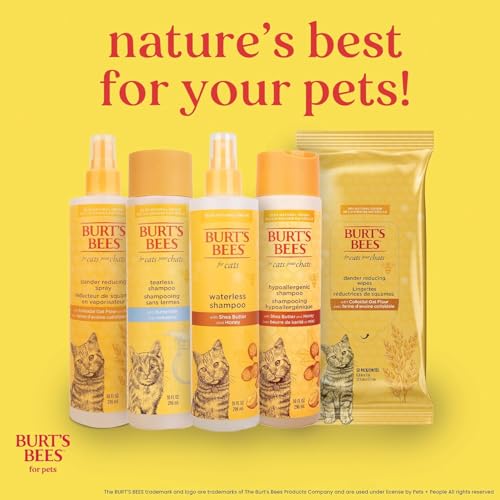 Burt's Bees for Pets Cat Dander Remover Wipes, Colloidal Oat Flour and Aloe to Soothe Dry Skin and Reduce Flaking, Unscented Grooming Cloths for Cats and Kittens, 50 Count