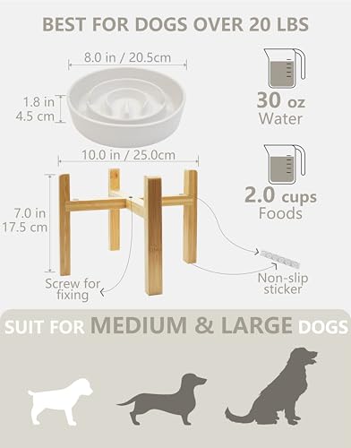 MOPANG Ceramic Slow Feeder Dog Bowls Elevated, 2.0 Cups Slow Feeder for Medium Dogs, Puzzle Maze Bowl to Slow Down Eating, 30oz, 8in, White