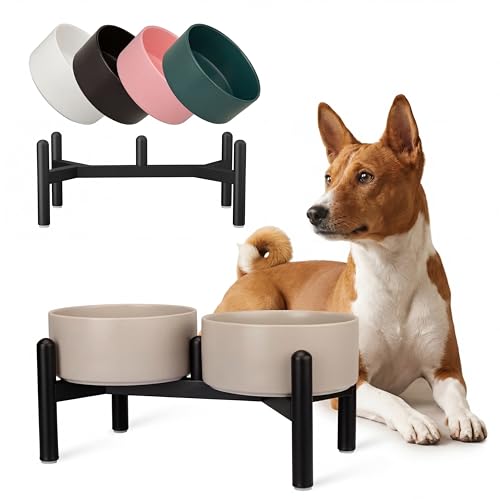 Raised Ceramic Dog Bowl Set - Elevated Double Dishes with Stainless Steel Stand - Food and Water Bowls for Small to Medium Dogs - Each Holds 3.5 Cups (29.57 fl oz) - Grey