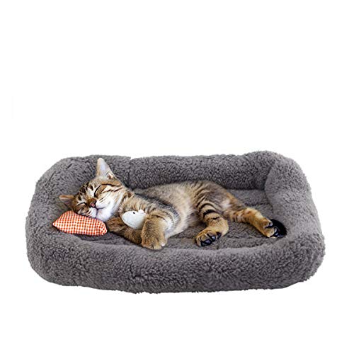 Enjoying Cat Mat Bed 10" x 15" Pet Bed with Pillow Around for Puppy Kitten Curled Sleeping Beds for Carrier/Crate Small Dog Cushion, Anti Skid Bottom, Small