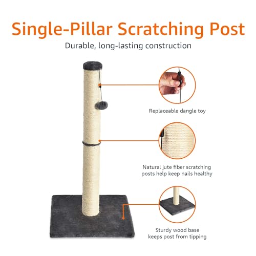 Amazon Basics Cat Scratching Post for Indoor Cats & Kittens, Medium (31.5"H), Cat Furniture with Dangling Ball Toy, Grey