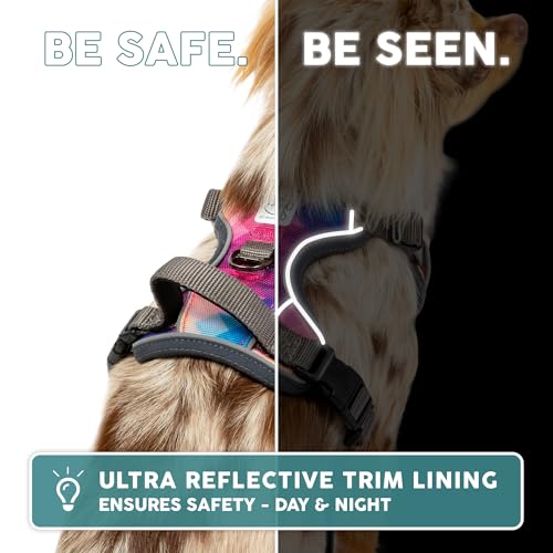 Embark Adventure Dog Harness, Reflective Trim No Pull Dog Harness for Large Dogs - Military Grade Nylon, Front Clip with Gel Lined Handle. Soft & Padded Puppy