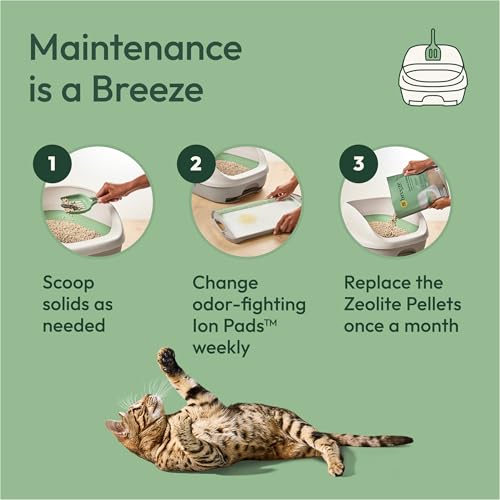 Purina Tidy Cats Litter Box System, BREEZE System Starter Kit Litter Box, Litter Pellets & Pads