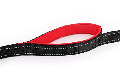 Primal Pet Gear Dog Leash 6ft Long,Traffic Padded Two Handle,Heavy Duty,Reflective Double Handles Lead for Control Safety Training,Leashes for Large Dogs or Medium Dogs,Dual Handles Leads(Black)