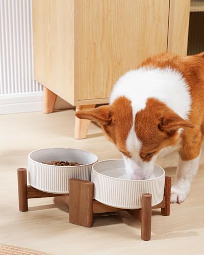 Getstar Ceramic Dog Bowls Set with Acacia Wood Stand, 3.5 Cups Pet Bowls Set of 2 for Medium Dogs, Cute Dog Raised Food Bowl, Cat Bowls