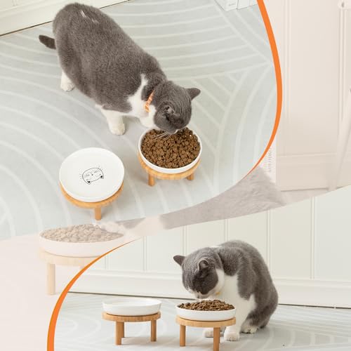 Lusifaco Shallow Elevated Cat Bowls,5.9 Inch Wide Raised Ceramic Cat Dishes with Bamboo Stand, Whisker Friendly Pet Water or Food Plates Feeding Station for Indoor Cats, Kitten(White,Set of 2)
