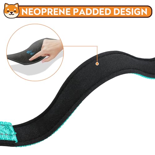 PWOD Reflective Dog Collar, Adjustable Soft Neoprene Padded Nylon Pet Collars with Buckle for Medium Dogs, Teal,M