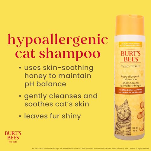 Burt's Bees for Pets Hypoallergenic Cat Shampoo with Shea Butter and Honey, Gentle Formula for Indoor Cats with Dry or Sensitive Skin, pH Balanced, Fragrance-Free, 10 Fl Oz