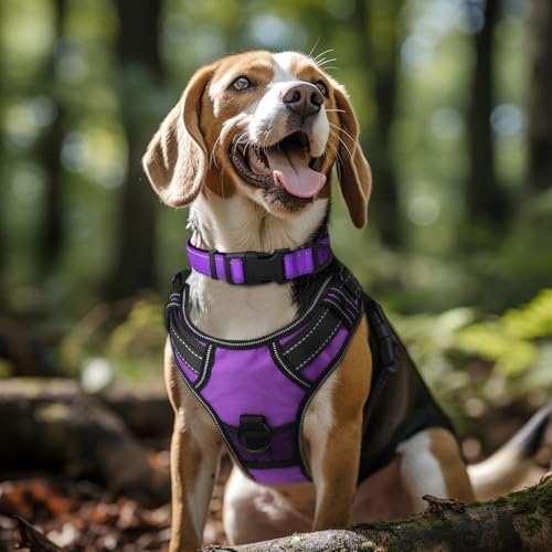 Joytale Reflective Dog Collar,Soft Neoprene Padded Breathable Nylon Pet Collar Adjustable for Large Dogs,Purple,L
