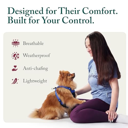 Sporn No Pull Dog Harness, Durable Nylon Mesh Harness for Small Dogs, No Choke Design, Padded Restraint Sleeves, Adjustable Fit, Easy On/Off, Ideal for Small Breeds, Blue