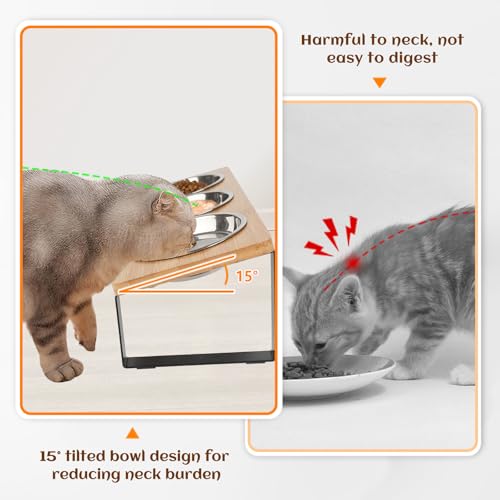 Elevated Cat Bowl, 15° Tilted Cat Bowl Stand with 3 Stainless Steel Bowls for Indoor Cats and Pet, Raised Cats Bowls for Food and Water
