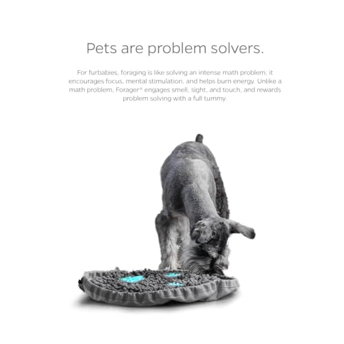 Pet Parents Forager Bowls, Slow Feeder Dog & Cat Bowls with SoftSnout™ & Non-Slip Backing, Portable Pet Puzzle Toys & Snuffle Mats, 30 oz, Modern Grey (Meadow Ponds)