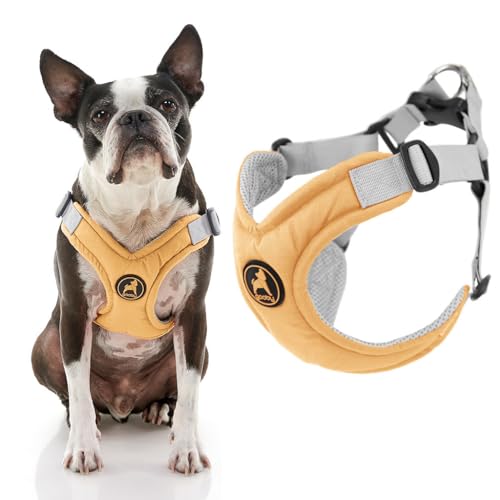 Gooby Memory Foam Step in Harness - Yellow, X-Small - No Pull Small Dog Harness Patented Choke-Free X Frame - Perfect on the Go Dog Harness for Medium Dogs No Pull or Small Dogs