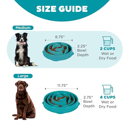 Outward Hound Fun Feeder Slo Bowl – Medium 2‑Cup Capacity, Slow Feeding, Small to Medium Dogs & Cats, Non-Slip, Turquoise, Drop Pattern