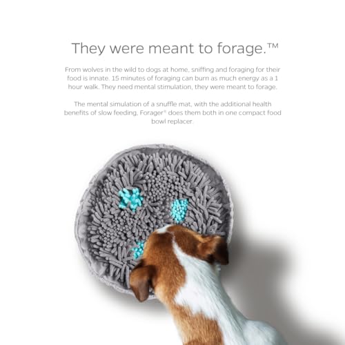 Pet Parents Forager Bowls, Slow Feeder Dog & Cat Bowls with SoftSnout™ & Non-Slip Backing, Portable Pet Puzzle Toys & Snuffle Mats, 30 oz, Modern Grey (Meadow Ponds)