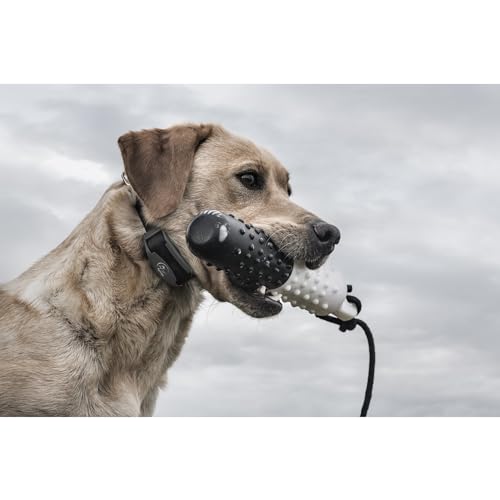 SportDOG FieldTrainer 425X - Remote Trainer Designed for Off-Leash Control & Training - 500-Yard Range - Waterproof - Quick Charge-Collar with 21 Levels of Static, Tone, & Vibration