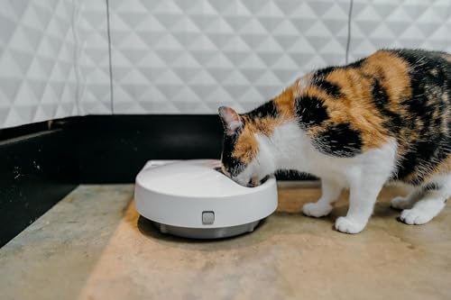 Cat Mate C500 Automatic 5 Bowl Digital Timer-Controlled Pet Feeder - for Cats and Small Dogs, Wet or Dry Food, Includes Twin Ice Packs, 5 Meals Up to 0.73 lb Each, White