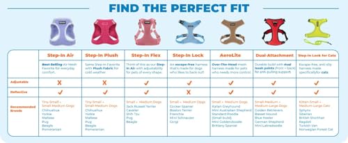 Best Pet Supplies Voyager Step-in Air Harness - All Weather Mesh, Reflective, No Pull Harness for Dogs, Cats - Secure with Hook & Loop Fastener, Buckle, Double D-Rings - Fuchsia, S