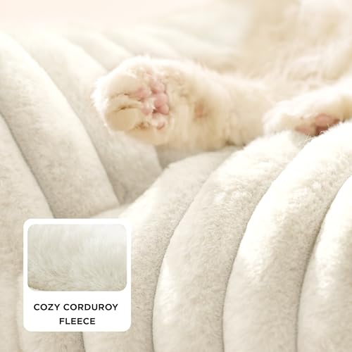 Bedsure ComfyFleece™ Cute Cat Couch for Pets - As Seen on TV on Good Day New York, Fluffy Cats beds for Indoor Cats with Removable Washable Cover, Supportive Pet Sofa, 24inch, Cream