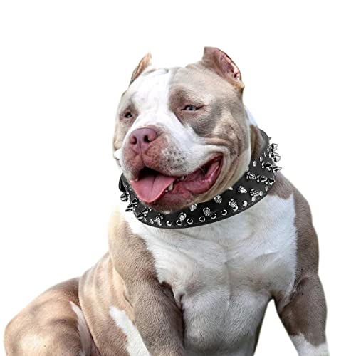 Hoot PU Leather Adjustable Spiked Studded Dog Collar 2" Wide 43 Spikes (L(Neck 21"-24"), Black)