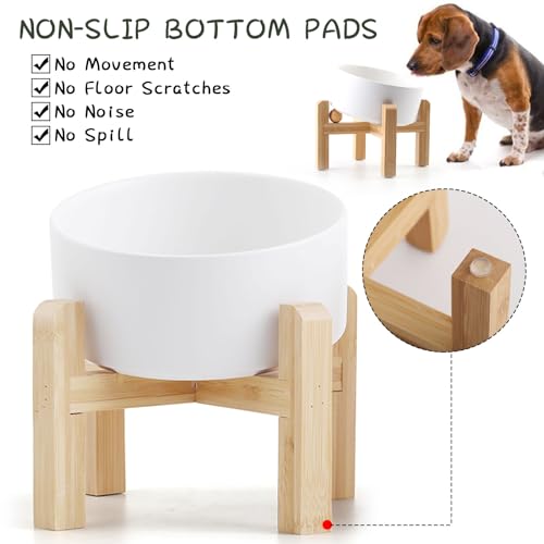 Petygooing White Raised/Elevated 15°Slanted Ceramic Dog Bowl for Small Breeds,Tilted Anti Slip Pet Feeding Bowl,Food Water Dish with Stand for Cats and Small Dogs Puppy 13.5 OZ (5.1In / 1.7 Cups)