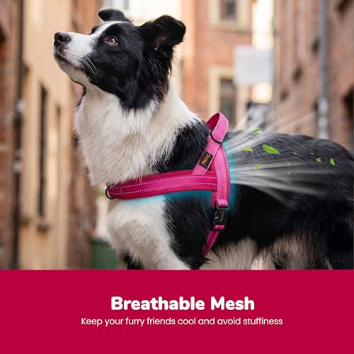Didog No Pull Dog Harness with Breathable Mesh Padded,Reflective & Quick Fit Light Weight Dog Strap Vest Harness,Easy for Walking Training (M:Chest 21-26", Mesh-Hot Pink)